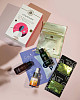 chic-box