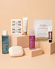 chic-box