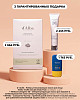 chic-box