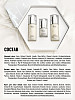 chic-box
