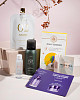 chic-box