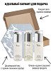 chic-box