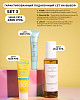 chic-box