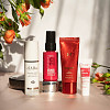 chic-box