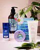 chic-box