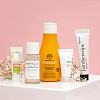 chic-box